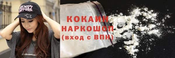 стаф Вяземский