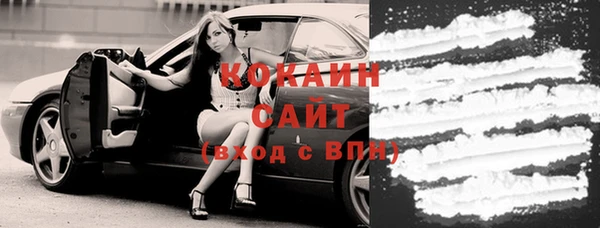твердый Шадринск