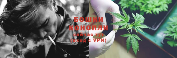 стаф Вяземский