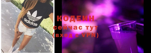 стаф Вяземский