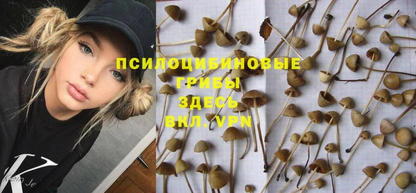 Альфа ПВП Вязьма