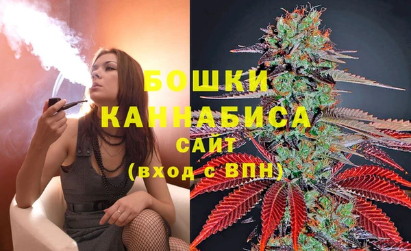 Альфа ПВП Вязьма