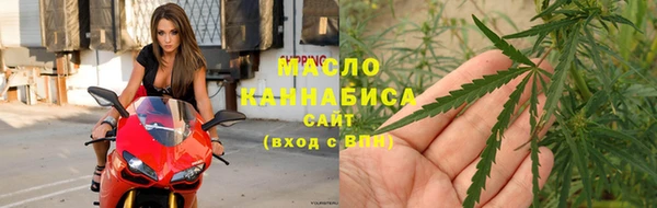 стаф Вяземский